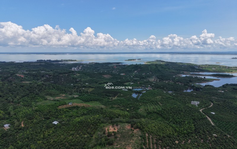 Đất Đẹp La Ngà – Sổ Riêng, View Chill, Đường Ô Tô – Chính Chủ Sang Nhượng